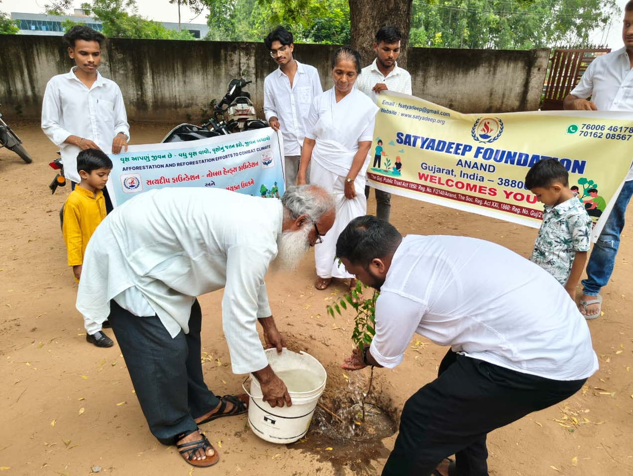 Tree Plantation Drive