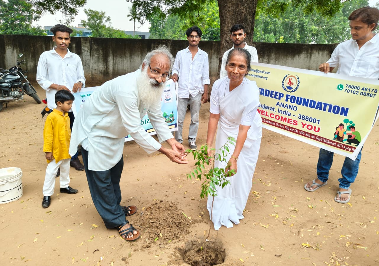 School Plantation Activity
